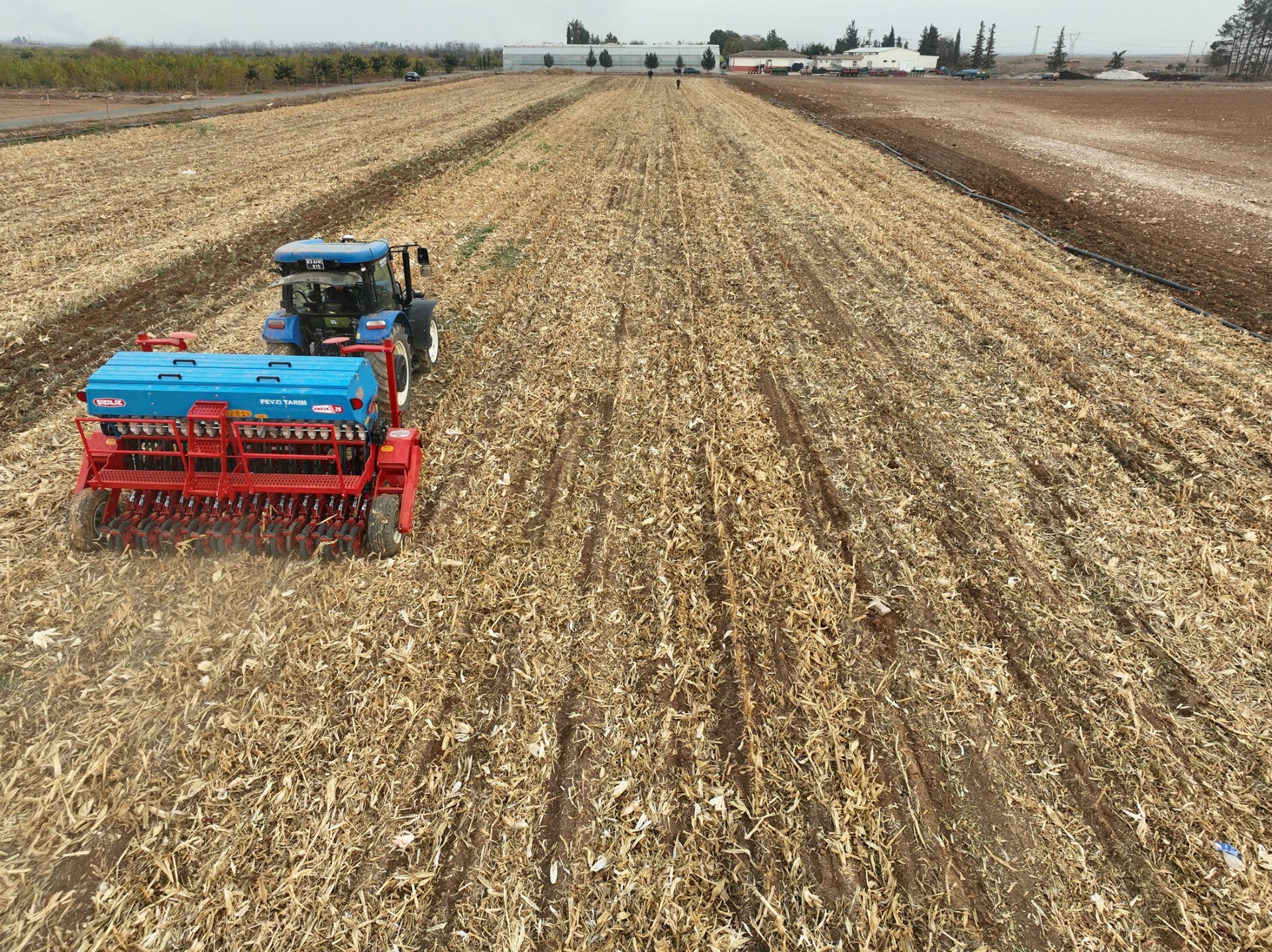 ANIZA EKİM PROJESİ BAŞARIYLA SÜRÜYOR