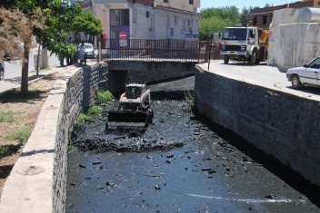 HİLVAN KORÇİK DERSİ