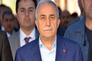 Japonya’ya kanatlı et