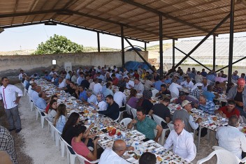 Harran Ziraat Fakültesinde Hasat