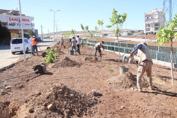 DAHA YEŞİL BİR HALİLİYE’ İÇİN ÇALIŞMALAR TİTİZLİKLE