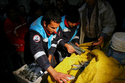 İstanbulda kaçak balık satıcılarına gece baskını