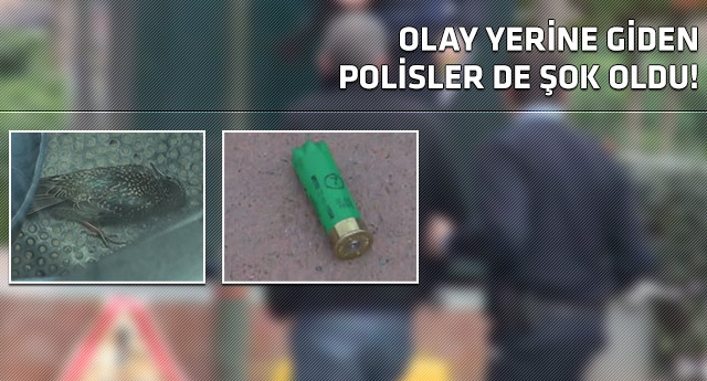 İstanbulun göbeğinde şaşkına çeviren olay!