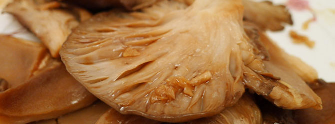 İstridye mantarı ye, kilo ver!