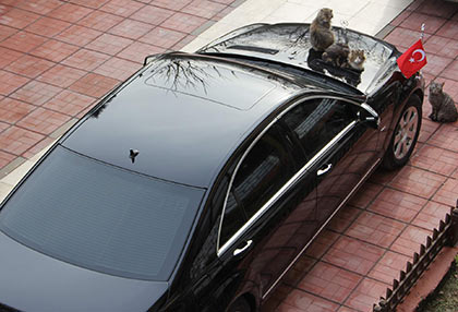 Makam araçları pahalıya patlıyor