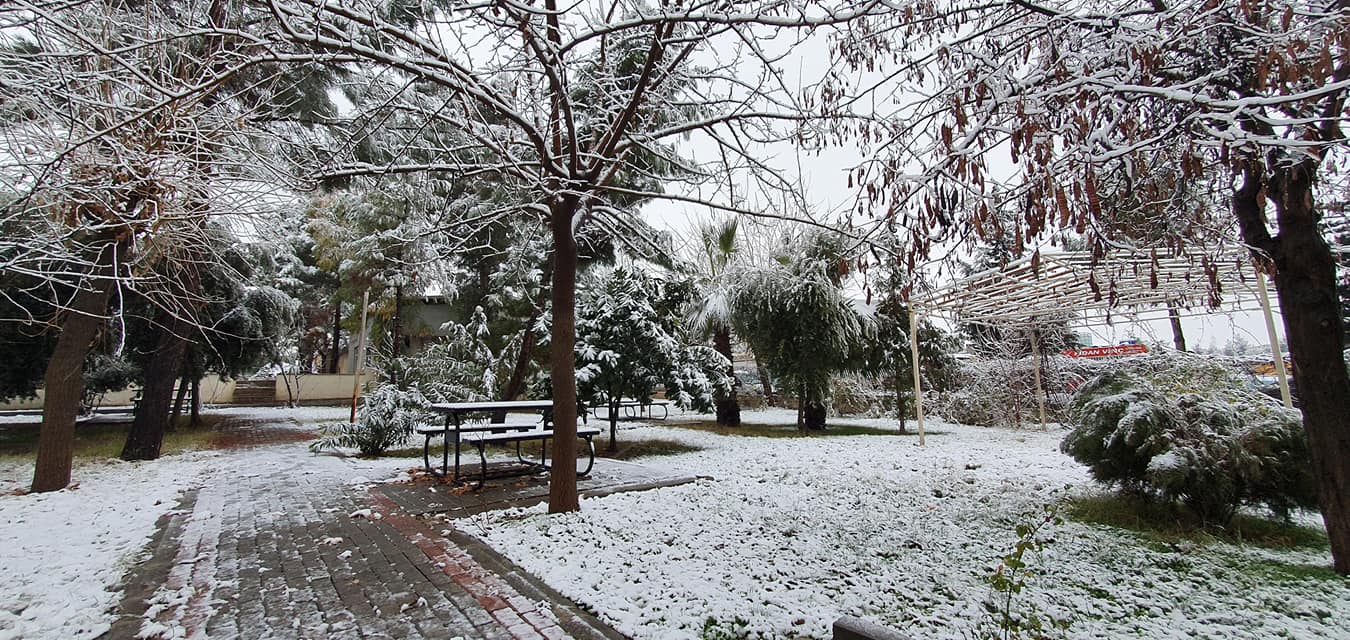 ŞANLIURFA'YA KAR YAĞDI