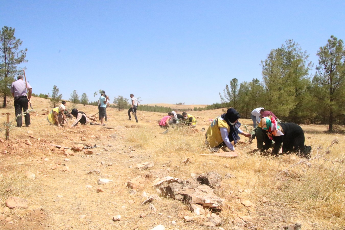 HALİLİYE BELEDİYESİNDEN ÇOCUKLARA ANLAMLI PROJE