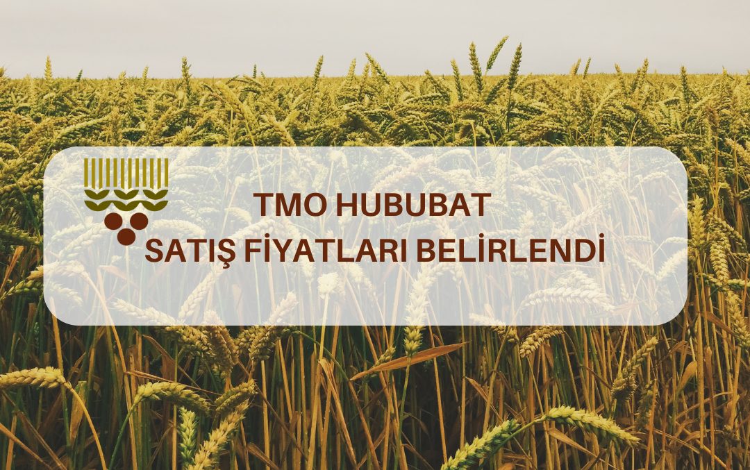 TMO HUBUBAT SATIŞ FİYATLARI BELİRLENDİ