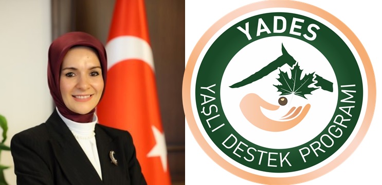 YADES için 60 proje başvurusu